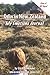 Odin in New Zealand: My Emotions Journal: Helping Kids Build Calm and Confidence