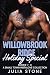 Willowbrook Ridge Holiday Special by Julia Stone