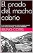El prado del macho cabrio: El caso Zugarramurdi desde el punto de vista de la magia, y de manera INMERSIVA (Spanish Edition)