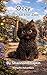 Ozzy Goes to the Zoo by Shannon Chaplin
