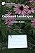 Captioned Landscapes: Intermedial Combinations Beyond the Human: Volume 1: Places (Curating and Interpreting Culture)
