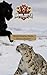 Animal Battle Academy: Blac...