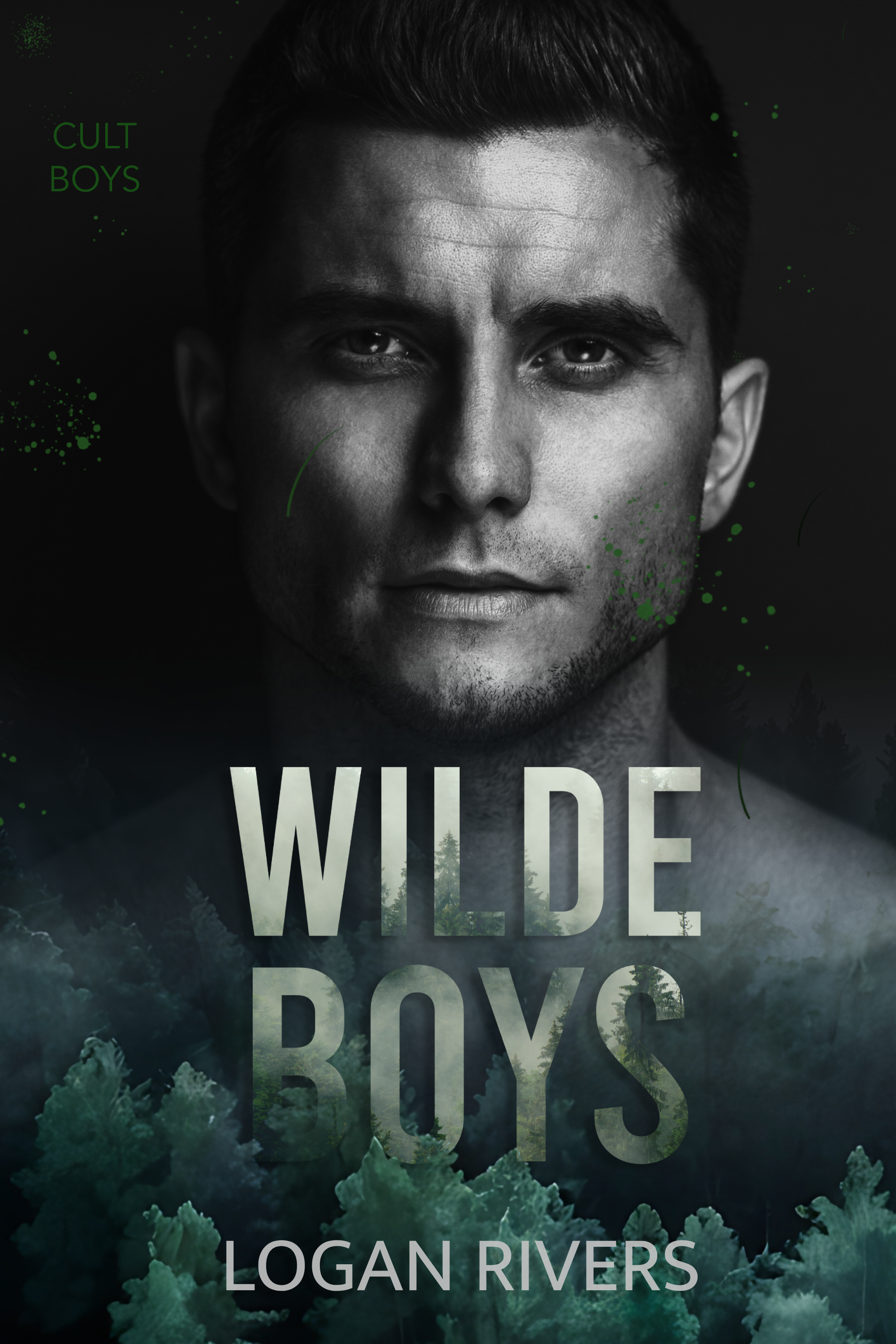 Wilde Boys (Cult Boys, #2)