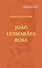 Entrevistas com João Guimarães Rosa (Portuguese Edition)