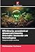 Eficiência económica/ desenvolvimento inovador baseado em tecnologias (Portuguese Edition)