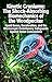 Kinetic Craniums: The Shock...