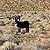 The Curious Little Donkey: Adventure is around every corner. Don't be afraid to explore
