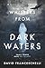 WHISPERS FROM DARK WATERS by David Franceschelli