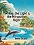 The Boy, The Light, and The Miraculous Flight