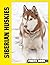 Siberian Huskies Photo Book: Energetic Snow Dogs Captured In Stunning Photography With Free-Spirited Huskies And Majestic Winter Landscapes