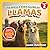 The Nature Kid's Guide to Llamas: A Level 2 Reader for Curious Young Kids Who Love Llamas!