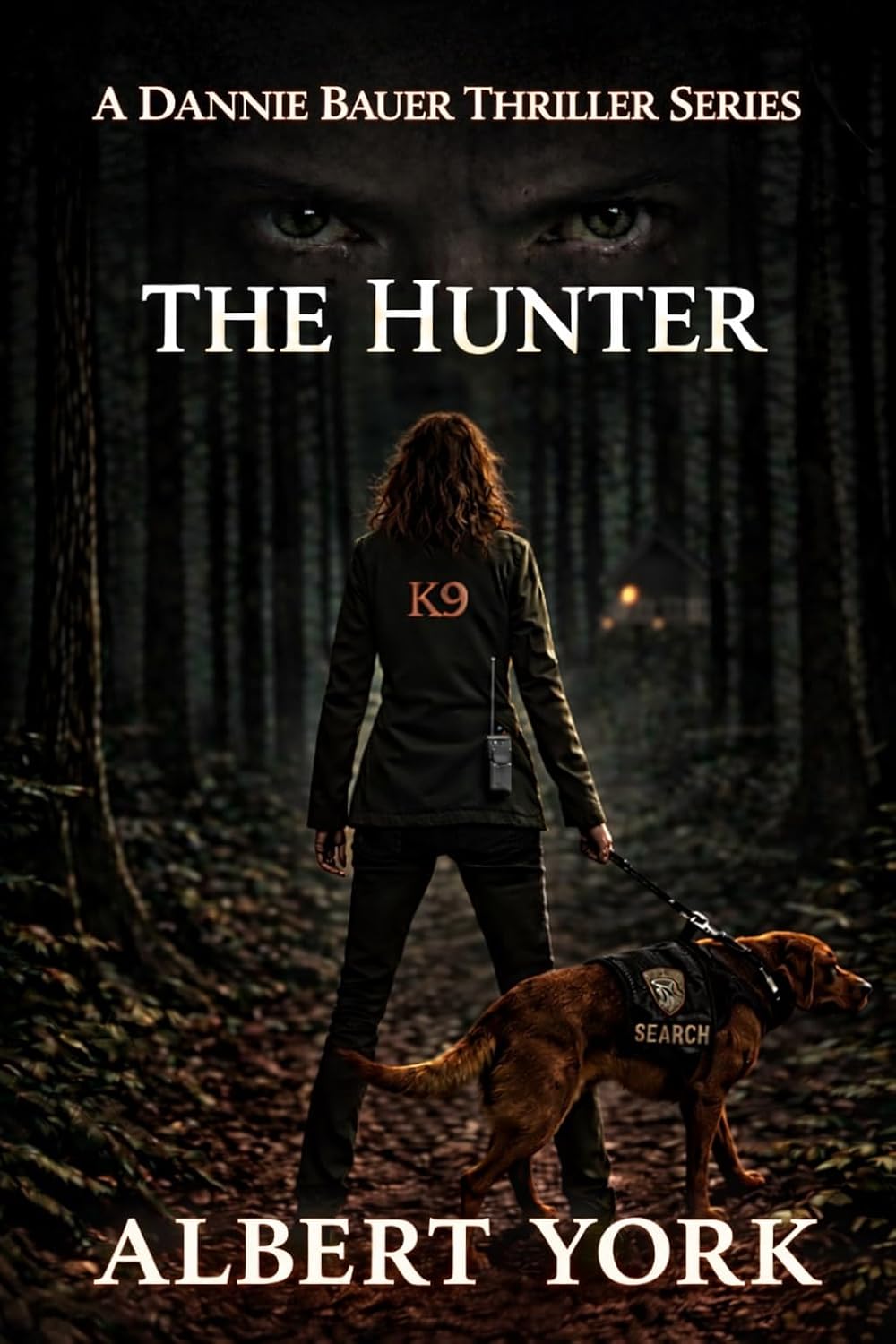 The Hunter: A Dannie Bauer Thriller Series