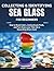 Collecting & Identifying Sea Glass for Beginners: How to Read Colors, Authenticate Finds, and Turn Every Low Tide into a Rewarding Shore Hunt