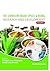 The Chemistry inside Spices & Herbs: Research and Development: Volume 6