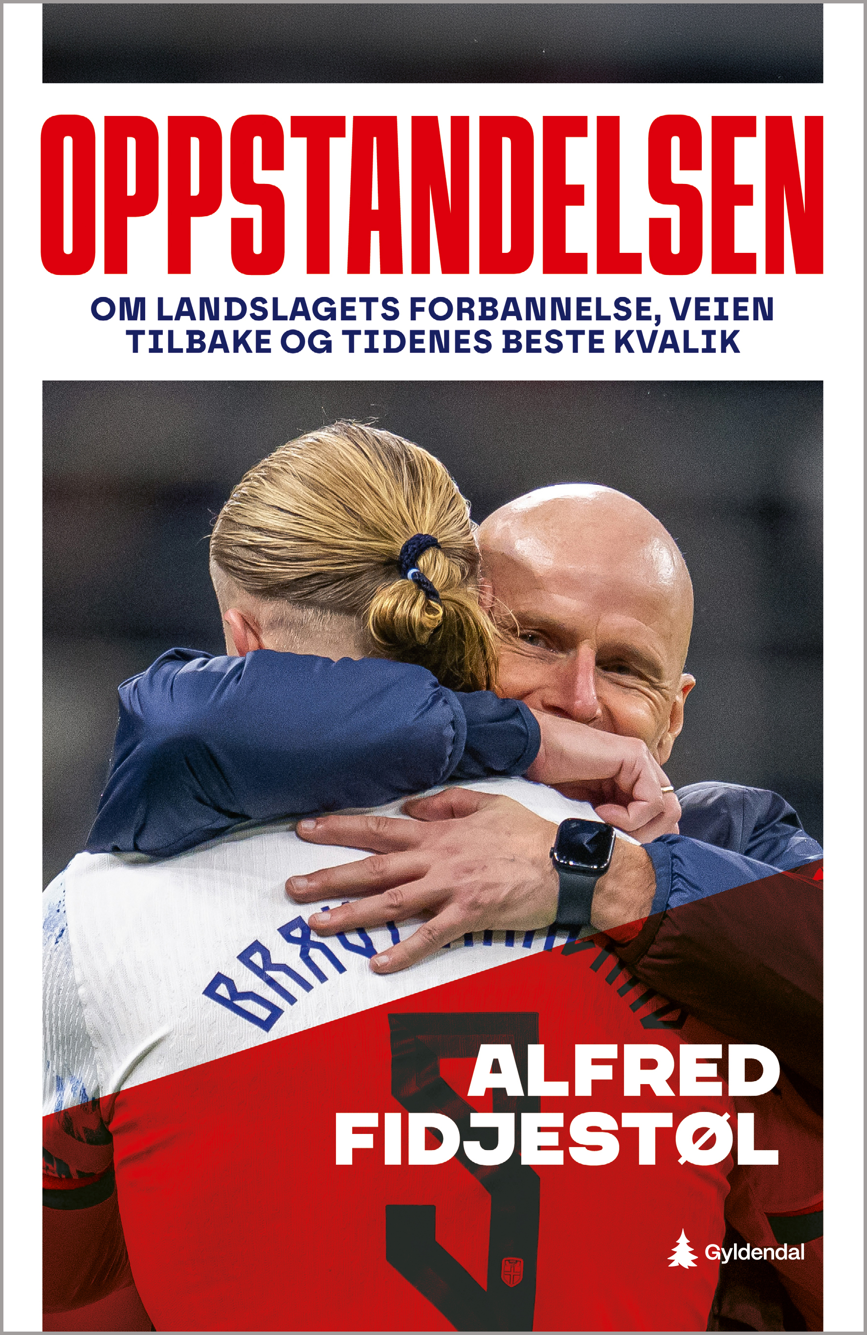Oppstandelsen: Om landslagets forbannelse, veien tilbake og tidenes beste kvalik