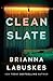 Clean Slate (Olive Hunt Book 1)