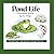 Pond Life Coloring Book