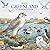 Birds of Greenland - A Coloring & Fact Book (Greenland Wildlife Coloring Books)