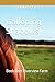 Galloping Shadows: Book One: Riverview Farm (Riverview Farm Series)