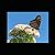 Encouraging Coloring Pages