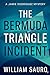 The Bermuda Triangle Incident: A Jaime Rodriquez Mystery | Book Two (The Jamie Rodriquez Mysteries)
