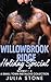 Willowbrook Ridge Holiday Special: Books 1-4 A Small Town Instalove Collection (Collections and Bundles)