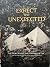 Expect the Unexpected Book - The story behind the Pyramids of Chi