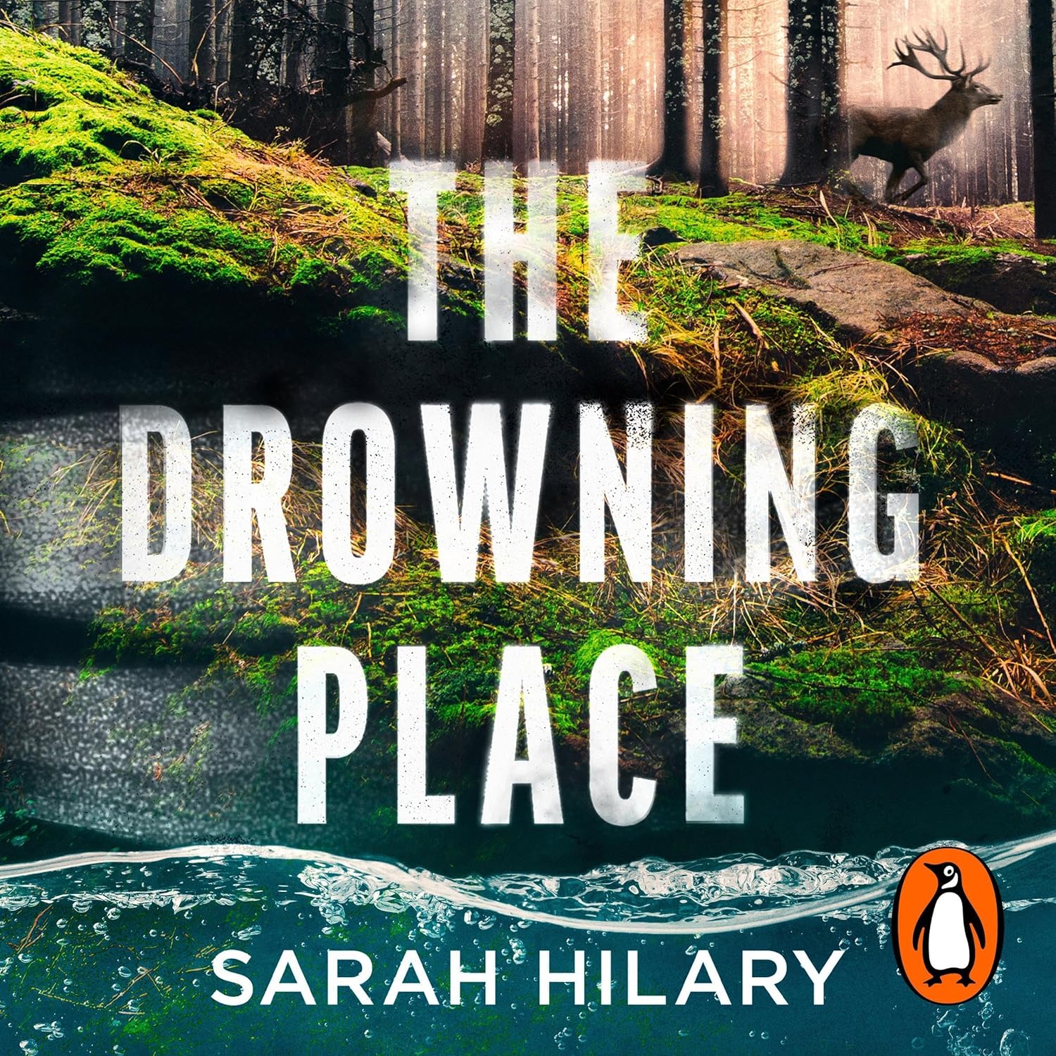 The Drowning Place (Audible Audio)