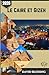 Le Caire et Gizeh Guide de voyage 2026: Explorez Le Caire et Gizeh comme un local : pyramides, trésors cachés, culture authentique et conseils de ... voyage inoubliable en 2026. (French Edition)