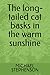 The long-tailed cat basks in the warm sunshine