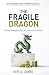 The Fragile Dragon by Ker Gibbs