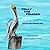 Pelly the Pelican: Fun Facts About Brown Pelicans