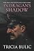 In Dragan’s Shadow (The Zadar Escape and Pursuit Series)