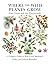 East Texas and the Pineywoods: A Forager’s Guide to Wild Food, Medicinal Herbs, and Natural Remedies (Where the Wild Plants Grow: Illustrated Foraging Guides)