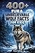 400+ Fun & Unbelievable Wolf Facts for Kids: Explore Pack Life, Howling Communication & Survival in the Wild (Perfect for Young Nature Explorers)