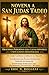 NOVENA DE SAN JUDAS TADEO: Poderosas oraciones para causas perdidas y situaciones desesperadas (Spanish Edition)
