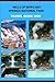 HELLS OF BEPPU HOT SPRINGS NATIONAL PARK TRAVEL GUIDE 2026