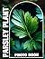 Parsley Plant Photobook