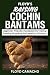 Floyd’s Raising Cochin Bant...