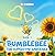 Bumble Bee: The Super Star Gardener