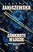 Zamknięte w lodzie