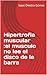 Hipertrofia muscular :el musculo no lee el disco de la barra (Spanish Edition)