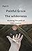 Painful Grace 9 - The wilderness: Walking the path of intercession (Unshakeable Towers)