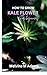 How to grow kale flowers for beginners: The Ultimate Beginner’s Guide to Growing, Caring for, and Harvesting Stunning kale at Home and garden