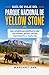GUÍA DE VIAJE DEL PARQUE NACIONAL DE YELLOW STONE: Guía completa para planificar su viaje: vida silvestre, géiseres, paisajes impresionantes y mucho más. (Spanish Edition)