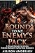 Bound to My Enemy's Pack: A Steamy Enemies to Lovers Forced Proximity Alpha Wolf Romance