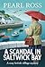 A SCANDAL IN SALTWICK BAY : A British Seaside Cozy Murder Mystery Whodunit with a Clever Female Journalist Sleuth Detective Investigator, Coastal Village Dark Secrets (Curious Cases)