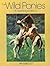 The Wild Ponies of Assateague Island