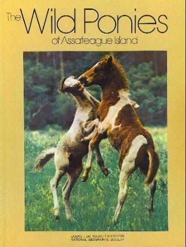 The Wild Ponies of Assateague Island