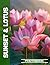 Sunset & Lotus Photo Book | Lotus Flowers Radiate Peace Again... by Harper Mitchell